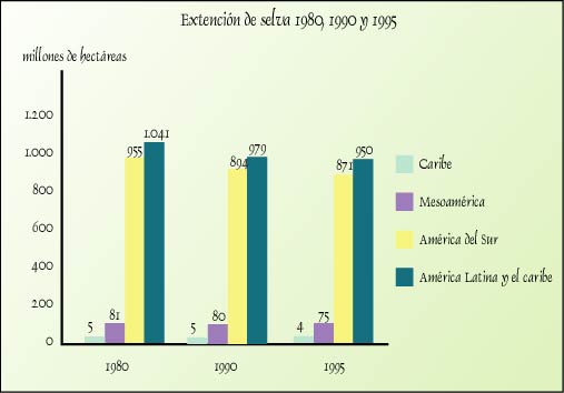 Extencin de Selva 1980, 1990, y 1995