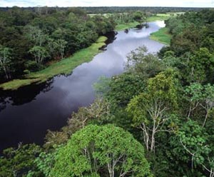 Amazonas.jpg (28121 bytes)